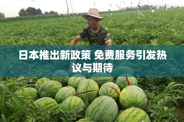 日本推出新政策 免费服务引发热议与期待