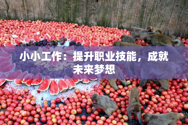 小小工作：提升职业技能，成就未来梦想