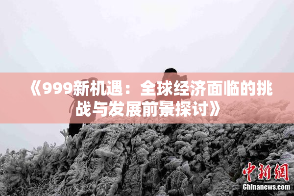 《999新机遇：全球经济面临的挑战与发展前景探讨》