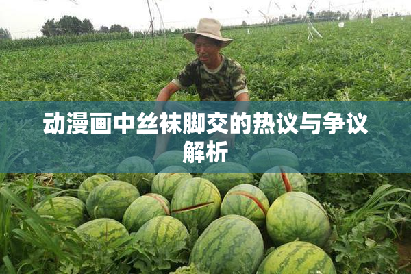 动漫画中丝袜脚交的热议与争议解析