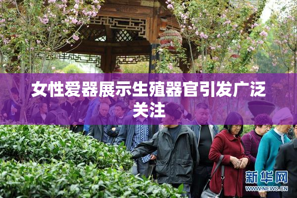 女性爱器展示生殖器官引发广泛关注