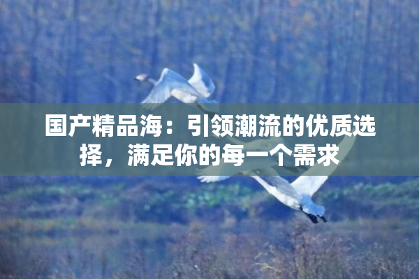 国产精品海：引领潮流的优质选择，满足你的每一个需求