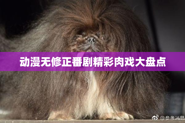动漫无修正番剧精彩肉戏大盘点