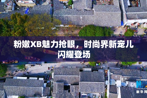 粉嫩XB魅力抢眼，时尚界新宠儿闪耀登场