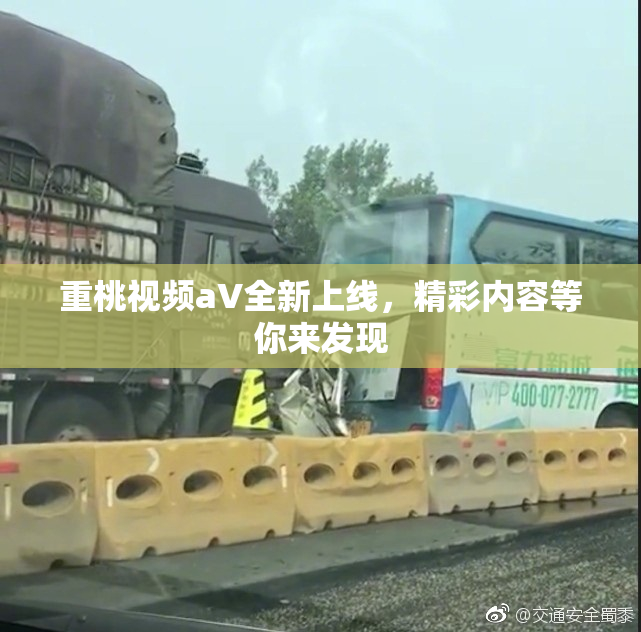 重桃视频aV全新上线，精彩内容等你来发现