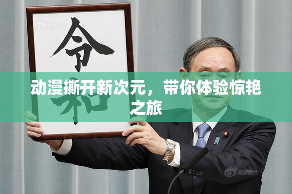 动漫撕开新次元，带你体验惊艳之旅