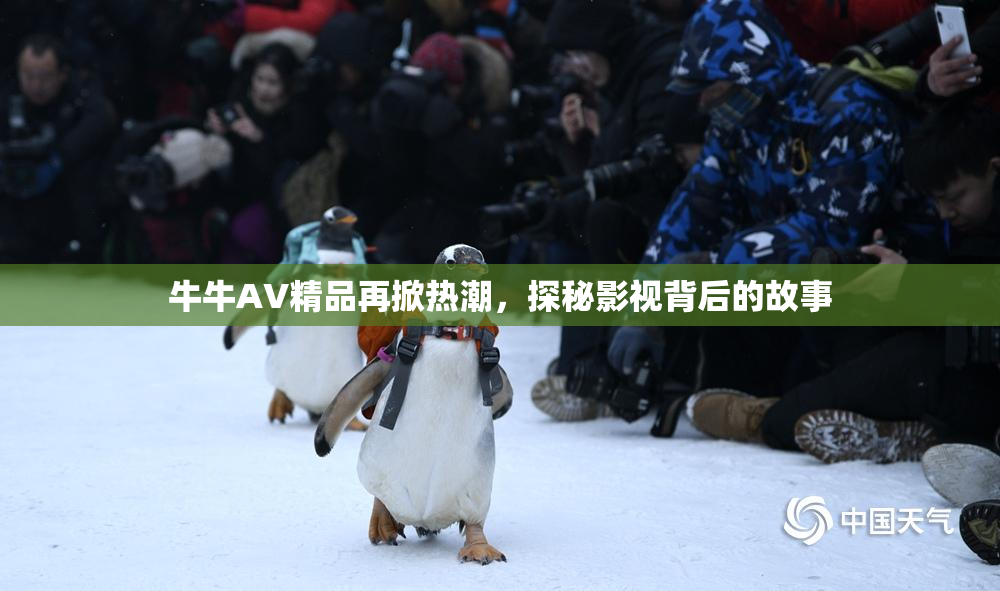 牛牛AV精品再掀热潮，探秘影视背后的故事
