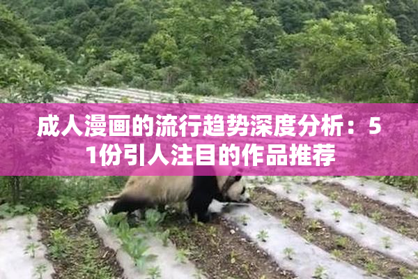 成人漫画的流行趋势深度分析：51份引人注目的作品推荐