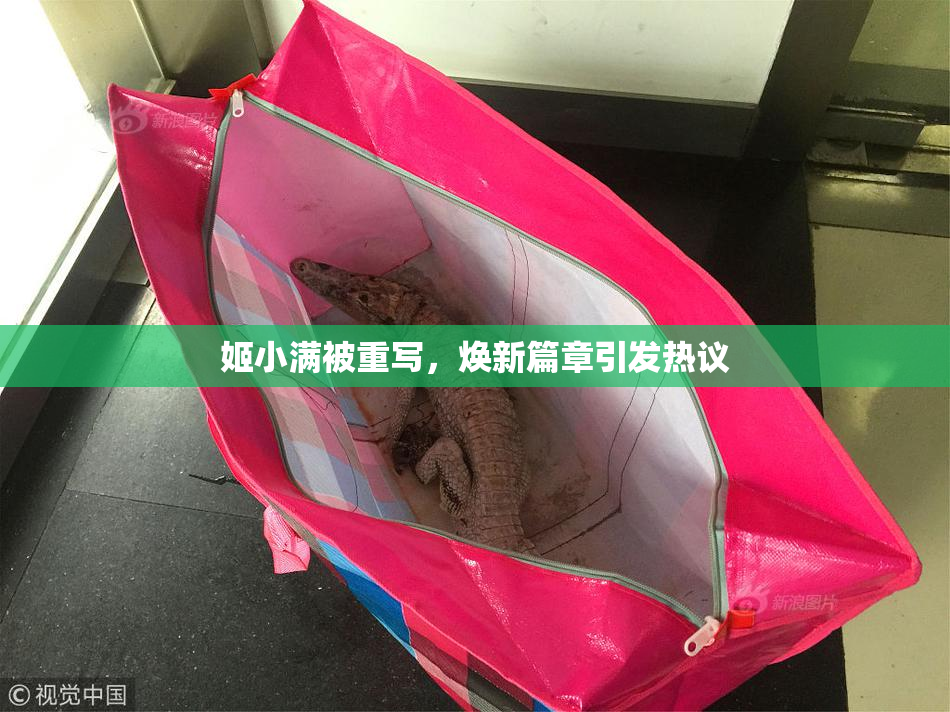 姬小满被重写，焕新篇章引发热议