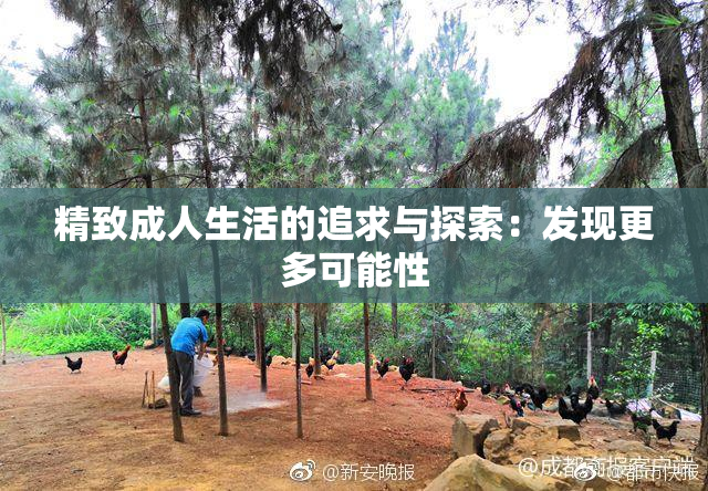 精致成人生活的追求与探索：发现更多可能性