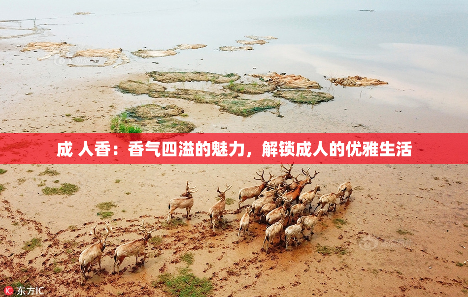 成 人香：香气四溢的魅力，解锁成人的优雅生活