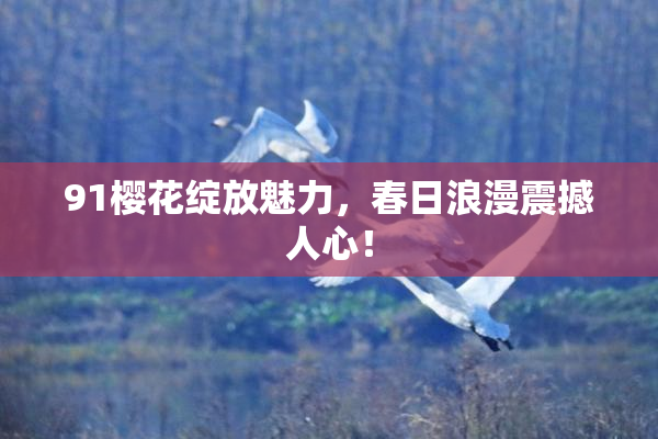 91樱花绽放魅力，春日浪漫震撼人心！
