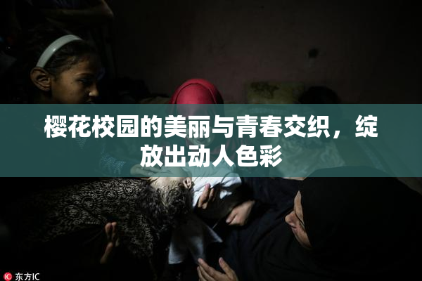 樱花校园的美丽与青春交织，绽放出动人色彩