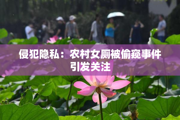 侵犯隐私：农村女厕被偷窥事件引发关注