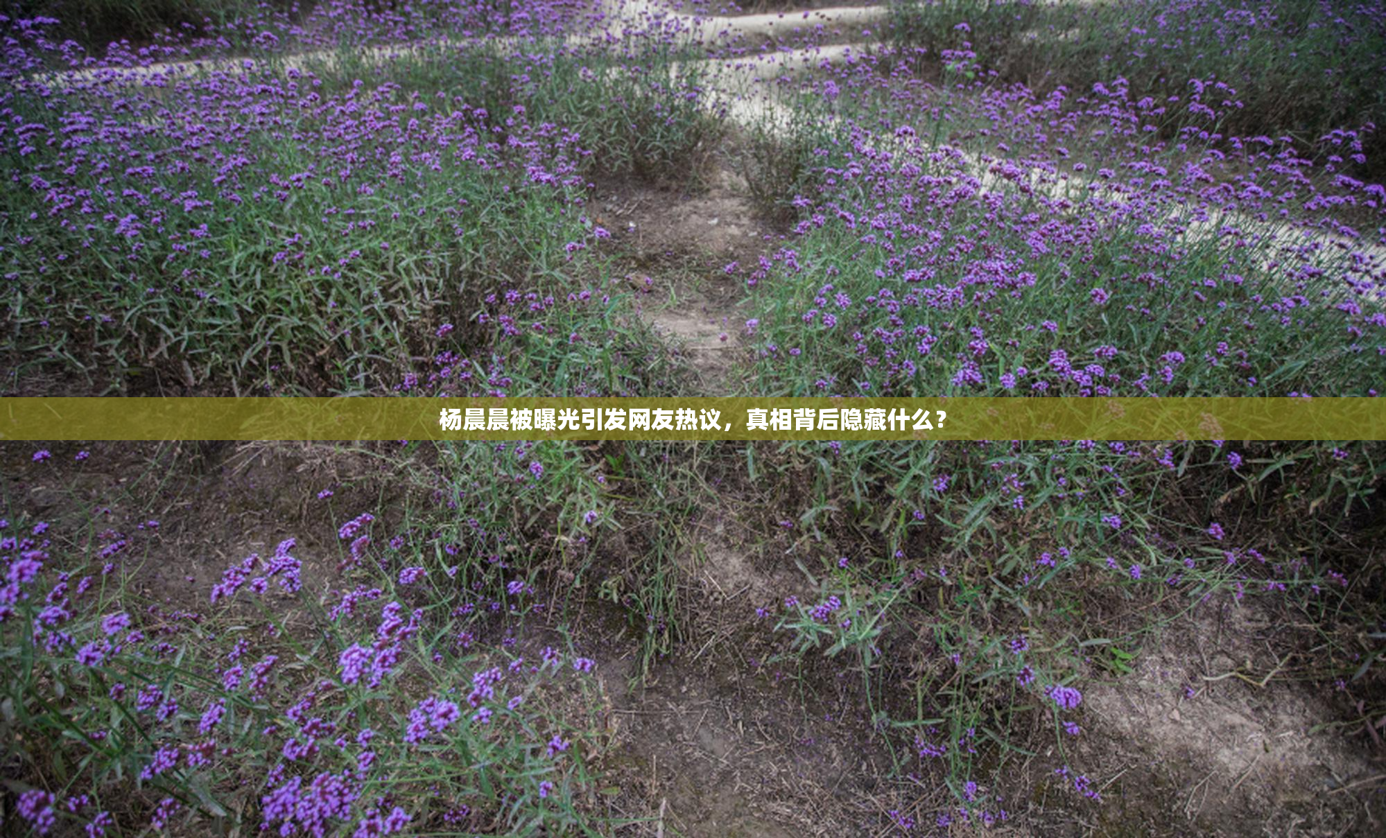 杨晨晨被曝光引发网友热议，真相背后隐藏什么？