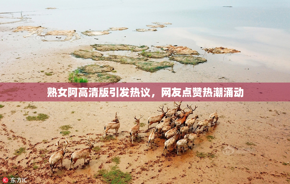 熟女阿高清版引发热议，网友点赞热潮涌动
