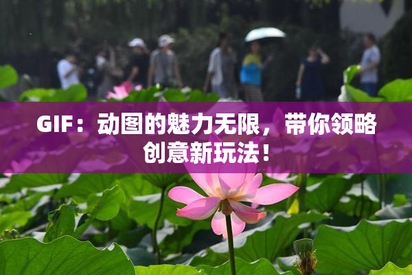 GIF：动图的魅力无限，带你领略创意新玩法！