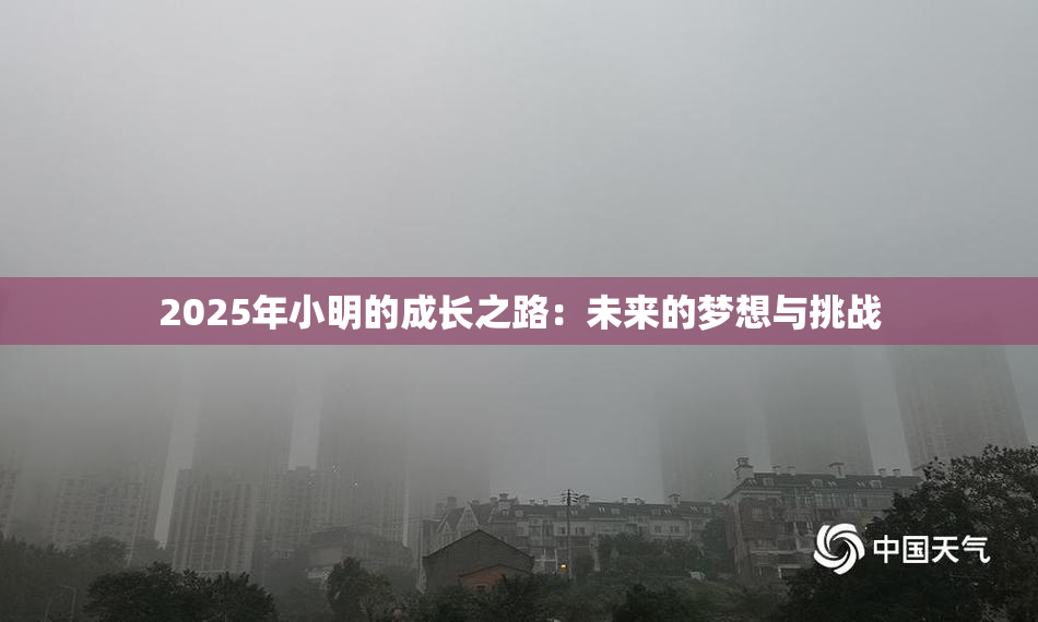 2025年小明的成长之路：未来的梦想与挑战