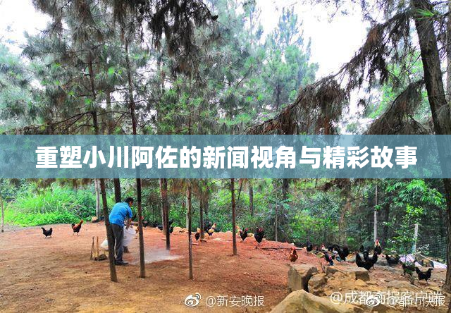 重塑小川阿佐的新闻视角与精彩故事
