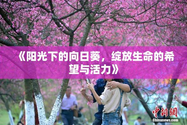 《阳光下的向日葵，绽放生命的希望与活力》