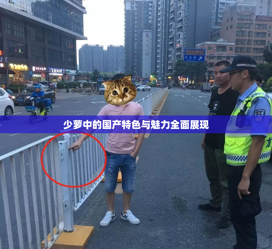 少萝中的国产特色与魅力全面展现