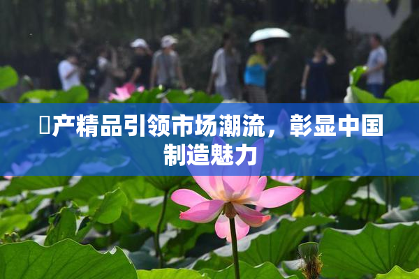 囯产精品引领市场潮流，彰显中国制造魅力