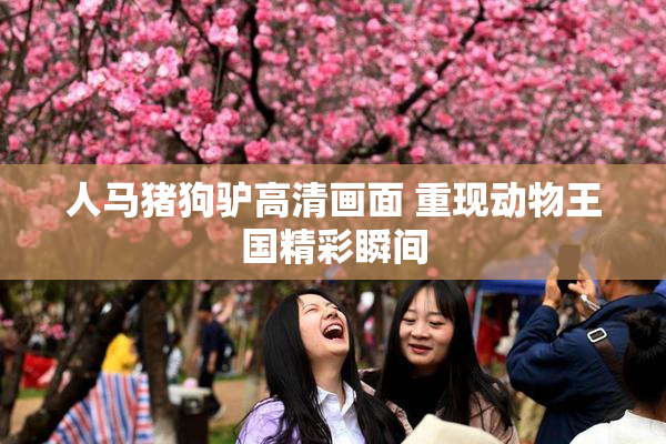 人马猪狗驴高清画面 重现动物王国精彩瞬间