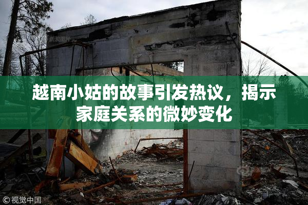 越南小姑的故事引发热议，揭示家庭关系的微妙变化