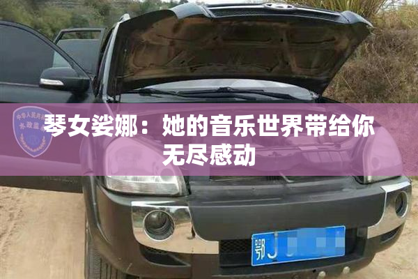 琴女娑娜：她的音乐世界带给你无尽感动