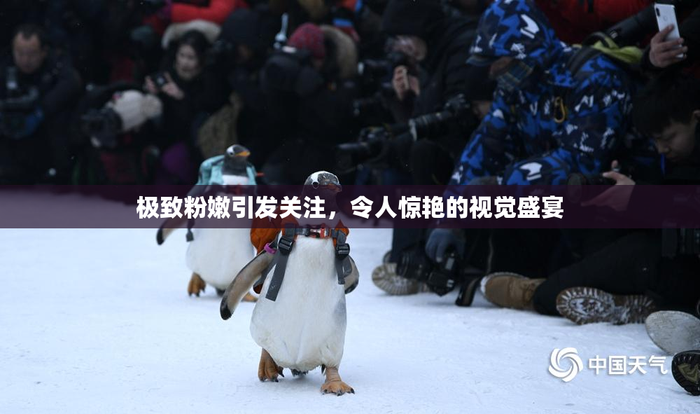 极致粉嫩引发关注，令人惊艳的视觉盛宴