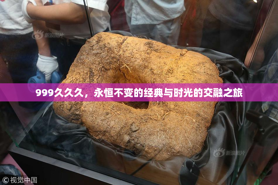 999久久久，永恒不变的经典与时光的交融之旅