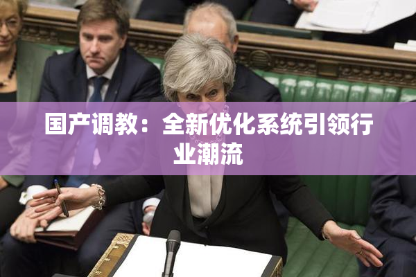 国产调教：全新优化系统引领行业潮流