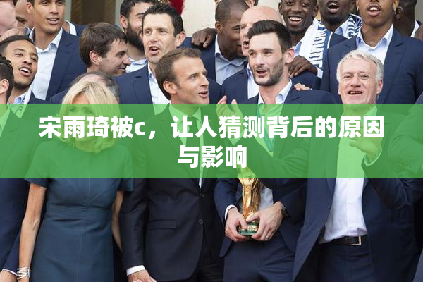 宋雨琦被c，让人猜测背后的原因与影响