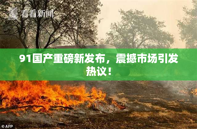 91国产重磅新发布，震撼市场引发热议！