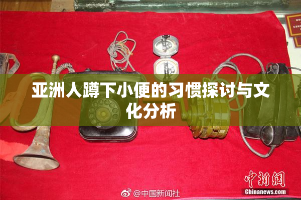 亚洲人蹲下小便的习惯探讨与文化分析