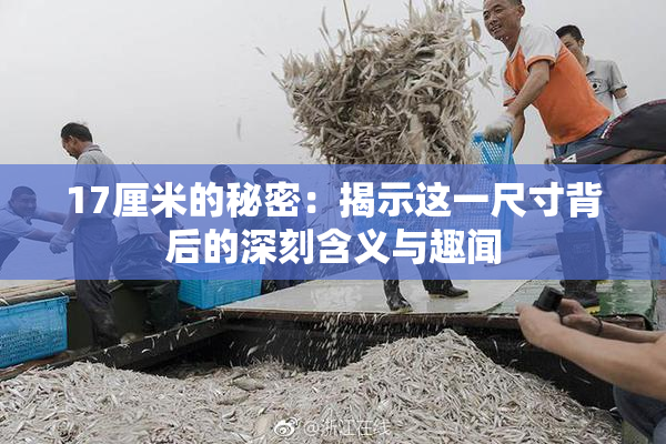 17厘米的秘密：揭示这一尺寸背后的深刻含义与趣闻