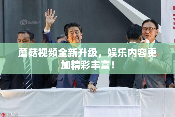 蘑菇视频全新升级，娱乐内容更加精彩丰富！