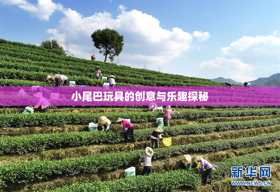小尾巴玩具的创意与乐趣探秘