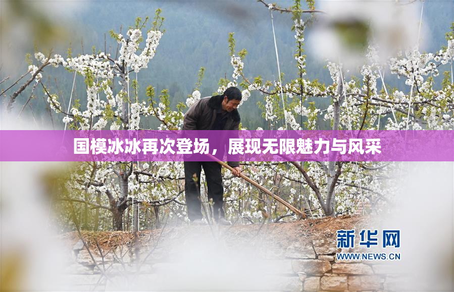 国模冰冰再次登场，展现无限魅力与风采