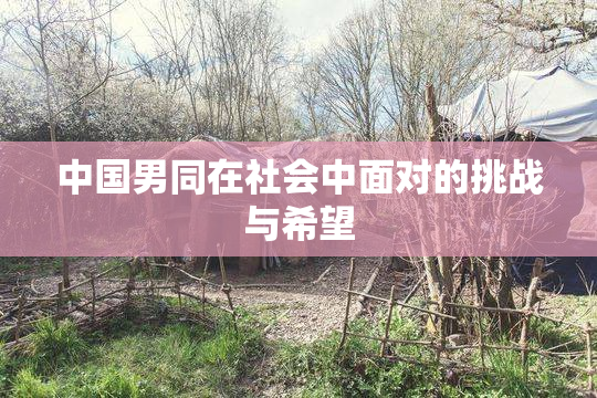 中国男同在社会中面对的挑战与希望