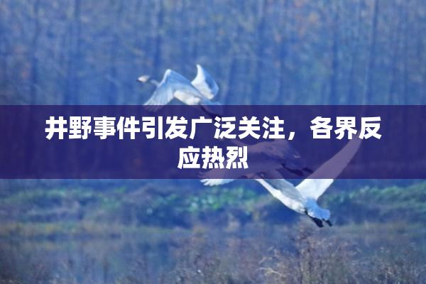 井野事件引发广泛关注，各界反应热烈