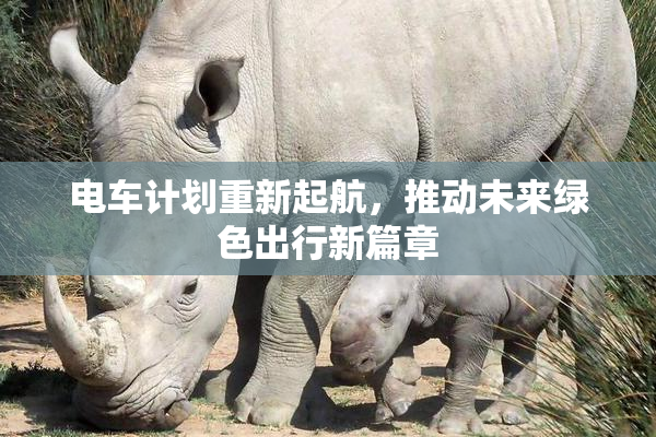 电车计划重新起航，推动未来绿色出行新篇章