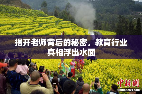 揭开老师背后的秘密，教育行业真相浮出水面