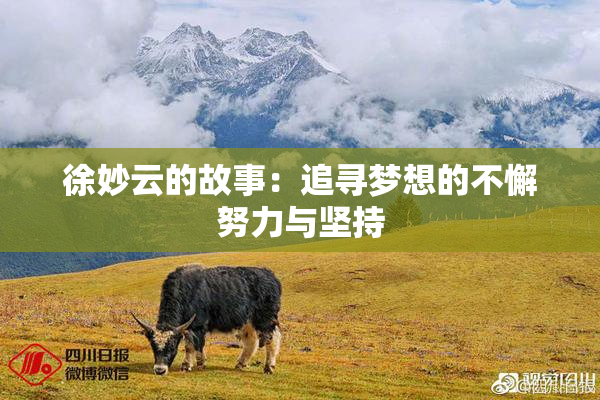 徐妙云的故事：追寻梦想的不懈努力与坚持