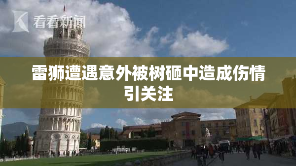 雷狮遭遇意外被树砸中造成伤情引关注