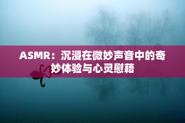 ASMR：沉浸在微妙声音中的奇妙体验与心灵慰藉