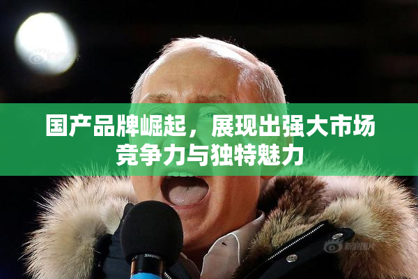 国产品牌崛起，展现出强大市场竞争力与独特魅力