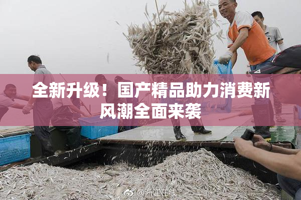 全新升级！国产精品助力消费新风潮全面来袭