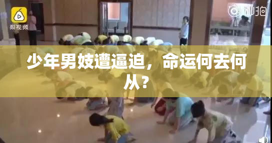 少年男妓遭逼迫，命运何去何从？