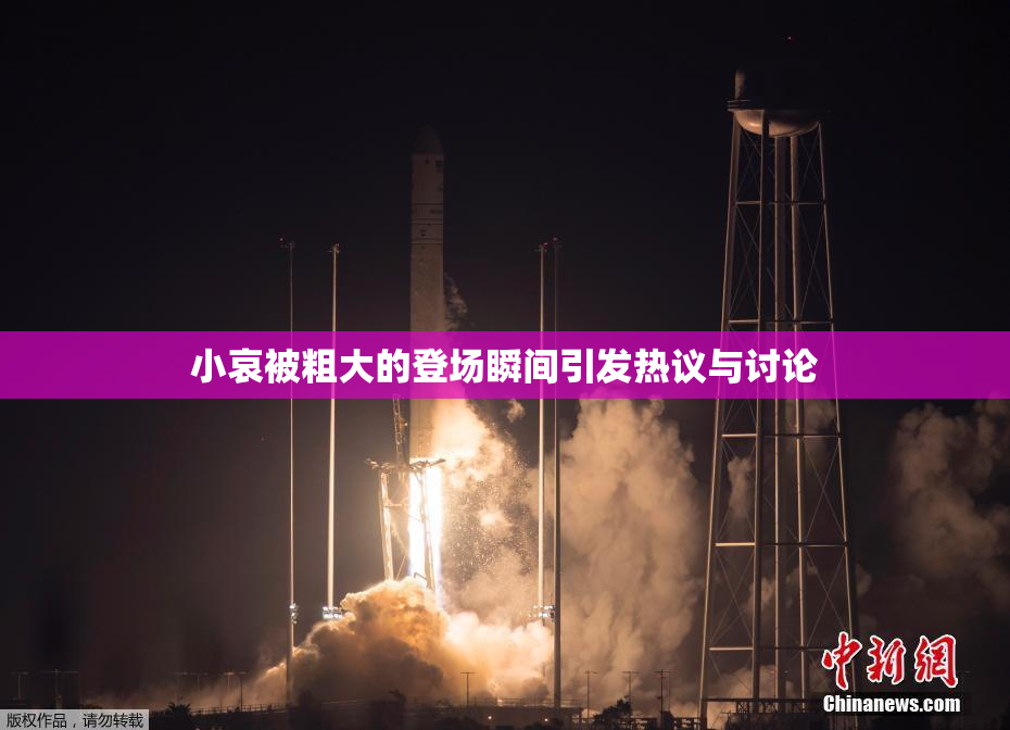 小哀被粗大的登场瞬间引发热议与讨论